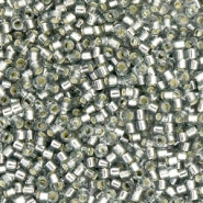 Miyuki kralen delica's 11/0 Silverlined light gray DB-48