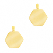 Roestvrij stalen (RVS) Stainless steel bedels hexagon Goud