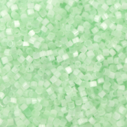 Miyuki kralen delica's 11/0 Silk satin mint green DB-828