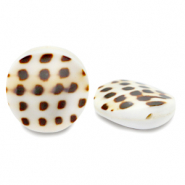 Schelp kralen 20mm White brown