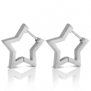 Roestvrij stalen (RVS) Stainless steel oorbellen star Zilver