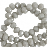 Top Facet kralen 3x2mm disc Cloudy grey-pearl shine coating
