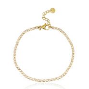 Roestvrij stalen (RVS) Stainless steel armbanden Goud-peach