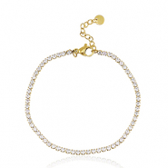 Roestvrij stalen (RVS) Stainless steel armbanden Goud-crystal