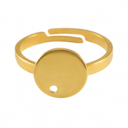 Roestvrij stalen (RVS) Stainless steel onderdelen ringen Gold
