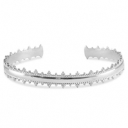 Roestvrij stalen (RVS) Stainless steel armbanden bangle Silver