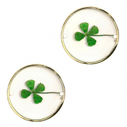 Tussenstukken met gedroogde bloemetjes 20mm Gold-green