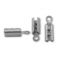 Roestvrij stalen (RVS) Stainless steel onderdelen veterklemmen Silver