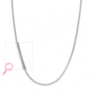 Roestvrij stalen (RVS) Stainless steel kettingen Silver