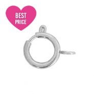 Roestvrij stalen (RVS) Stainless steel onderdelen slotje 6x8mm Zilver