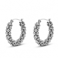 Roestvrij stalen (RVS) Stainless steel oorbellen / oorstekers Silver