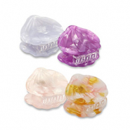 Haaraccessoires haarklemmen mix schelp Purple-pink