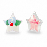 Transparant ornament ster Transparent-pink/white-blue-green
