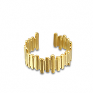 Roestvrij stalen (RVS) Stainless steel ringen Gold