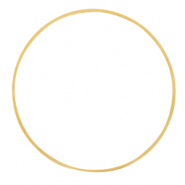 Onderdelen DQ metaal dichte ring 40mm Goud (nikkelvrij)