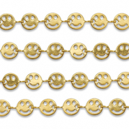 Roestvrij stalen (RVS) Stainless steel onderdelen jasseron smiley Gold