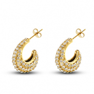 Roestvrij stalen (RVS) Stainless steel oorbellen / oorstekers Gold