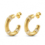 Roestvrij stalen (RVS) Stainless steel oorbellen / oorstekers Gold