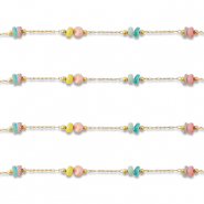 Roestvrij stalen (RVS) Stainless steel onderdelen jasseron disc Gold-multicolour