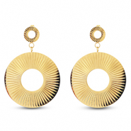 Roestvrij stalen (RVS) Stainless steel oorbellen / oorstekers rond Gold