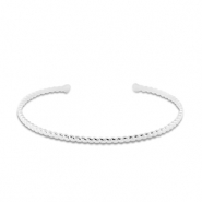 Roestvrij stalen (RVS) Stainless steel armbanden bangle Silver
