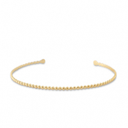 Roestvrij stalen (RVS) Stainless steel armbanden bangle Gold