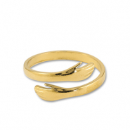 Roestvrij stalen (RVS) Stainless steel ringen handen Gold