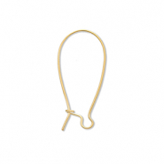 Roestvrij stalen (RVS) stainless steel onderdelen sluitbare oorhangers Gold