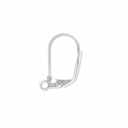 Roestvrij stalen (RVS) stainless steel onderdelen sluitbare oorhangers met oogje Silver
