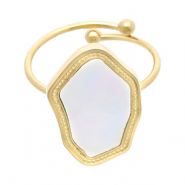 Roestvrij stalen (RVS) Stainless steel ringen Gold-white