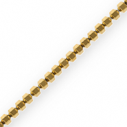 Hematite kralen hexagon Gold