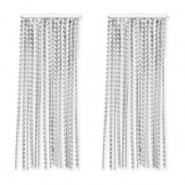 Roestvrij stalen (RVS) Stainless steel oorbellen / oorstekers Silver