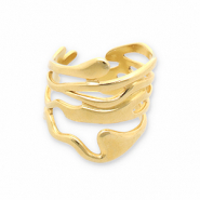 Roestvrij stalen (RVS) Stainless steel ringen Gold