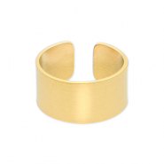 Roestvrij stalen (RVS) Stainless steel ringen Gold