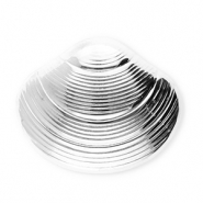 Roestvrij stalen (RVS) Stainless steel statement broches schelp Silver