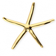 Roestvrij stalen (RVS) Stainless steel statement broches zeester Gold
