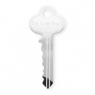 Roestvrij stalen (RVS) Stainless steel statement broches sleutel ''Key to my heart'' Silver