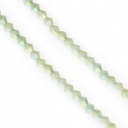 Top Facet kralen bicone 4mm Multicolour green-AB coating