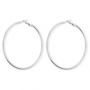 Roestvrij stalen (RVS) Stainless steel oorbellen / creolen Silver