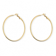 Roestvrij stalen (RVS) Stainless steel oorbellen / creolen Gold