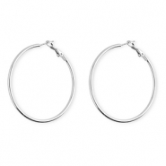 Roestvrij stalen (RVS) Stainless steel oorbellen / creolen Silver