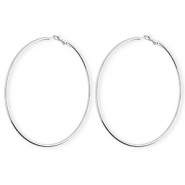 Roestvrij stalen (RVS) Stainless steel oorbellen / creolen Silver