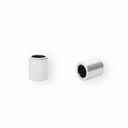 Roestvrij stalen (RVS) Stainless steel onderdelen eindkap Ø2.5mm Silver