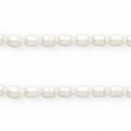 Imperfecte zoetwaterparels rice 7x6mm Natural white