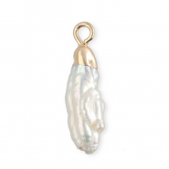 Imperfecte zoetwaterparels bedel tooth Gold-Natural white