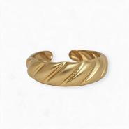 Roestvrij stalen (RVS) Stainless steel ringen Gold
