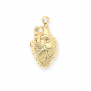 Roestvrij stalen (RVS) Stainless steel bedels anatomisch hart Gold