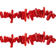 Kralen / bedels Ocean bamboo