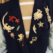 Nieuw Nieuwe serie broches