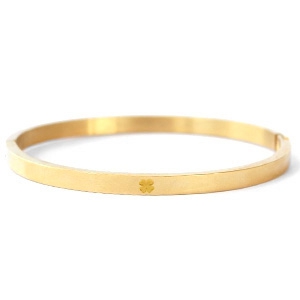 Roestvrij stalen (RVS) stainless steel armbanden met klaver Goud